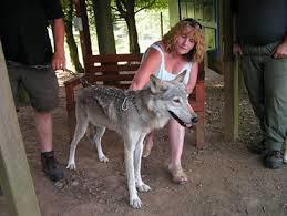 Porfell Wildlife Park & Sanctuary