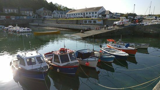 Porthleven Fish and Chip