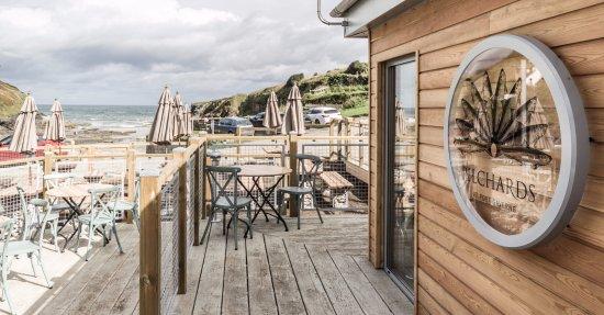 Pilchards at Port Gaverne