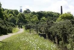 Tuckingmill Valley Park