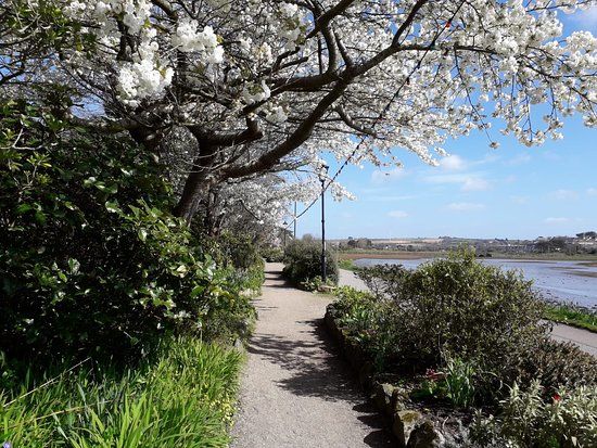 george V memorial walk