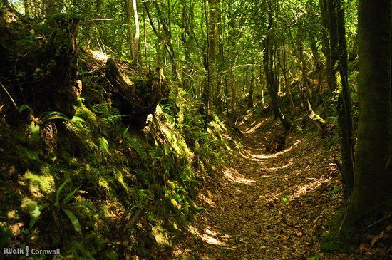 Pelynt and the St West Looe Valley
