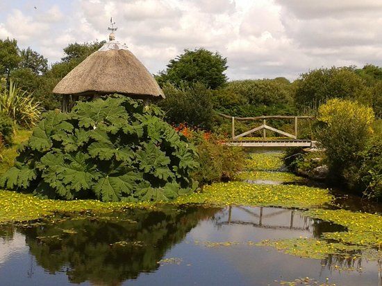 Tanglewood Wild Garden