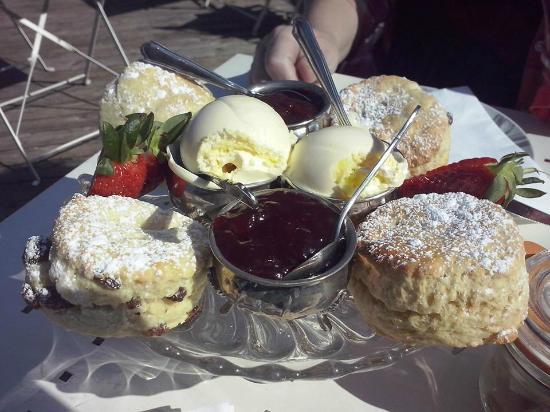 The Olive Grove Bistro