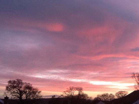 Tavistock Farmers Market