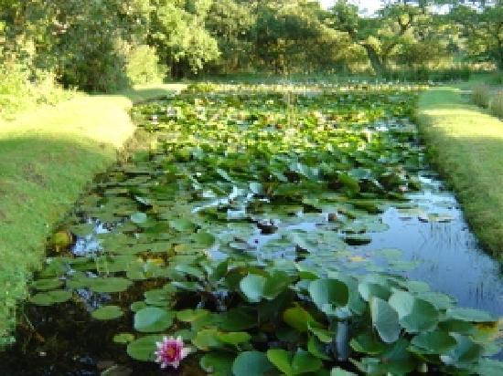 Penrose Water Gardens
