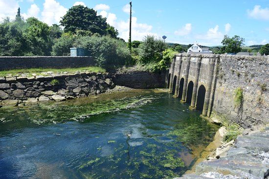 RSPB Hayle Estuary
