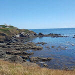 Chy Carne Snack Shack